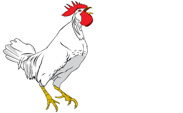 Innovative Grade US Origin Chicken Reproductive Tract